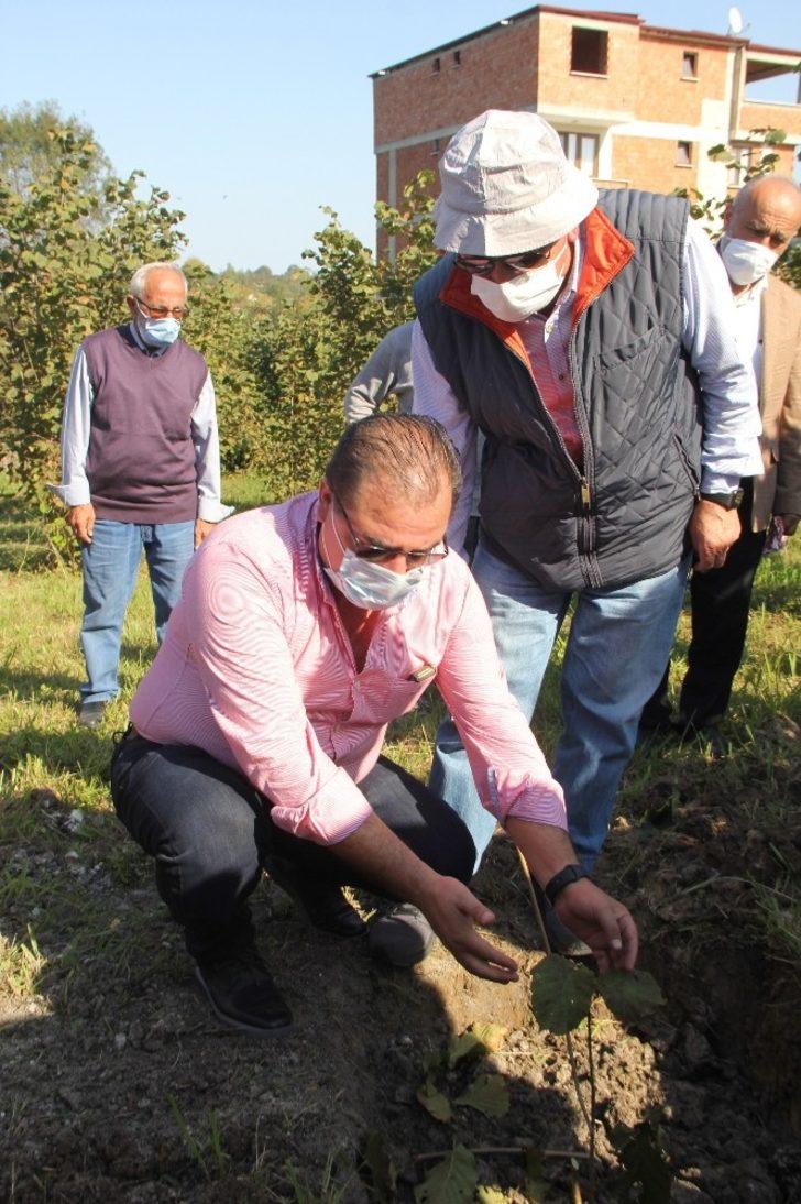 Fındıkta ezber bozuluyor G4