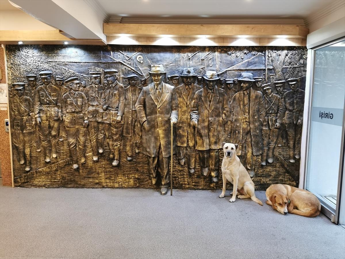 Kırklareli Belediyesi sağanak nedeniyle kapılarını sokak hayvanlarına a&ccedil;tı