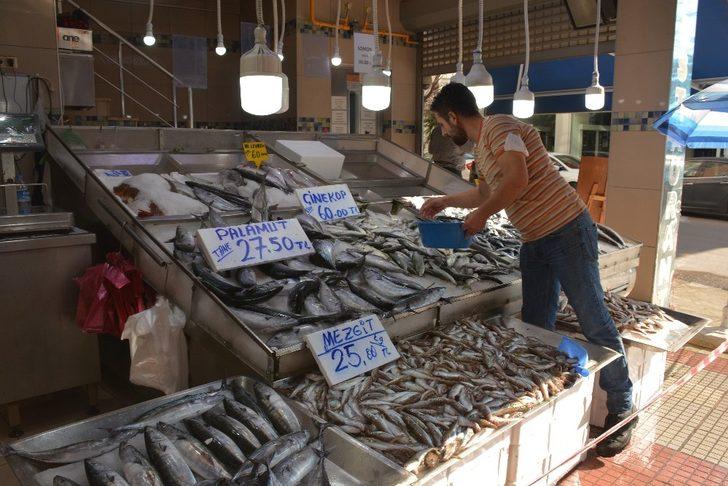 Sinop’ta palamut küstü, fiyatlar uçtu G2