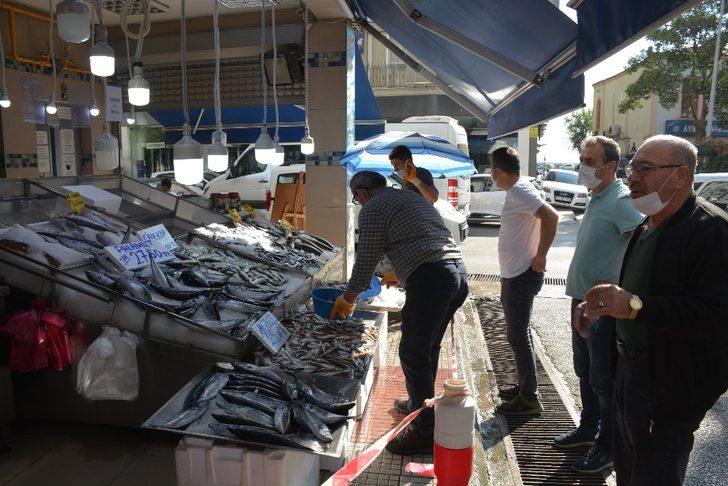 Sinop’ta palamut küstü, fiyatlar uçtu G3