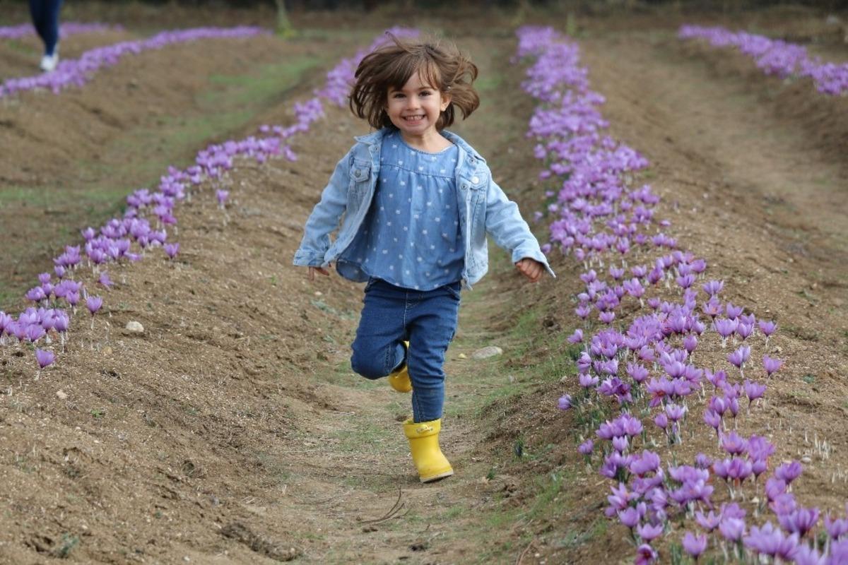 4.Safran Festivali ger&ccedil;ekleşti
