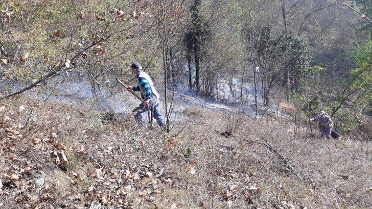 Ordu’da ormanlık alanda yangın G2