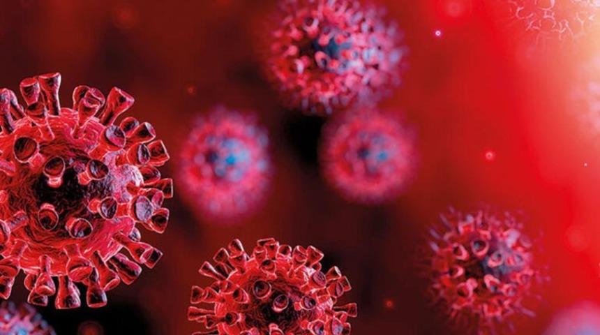 ABD’li uzmanlardan korkutan ‘çifte pandemi’ uyarısı