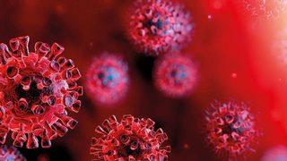 ABD’li uzmanlardan korkutan ‘çifte pandemi’ uyarısı