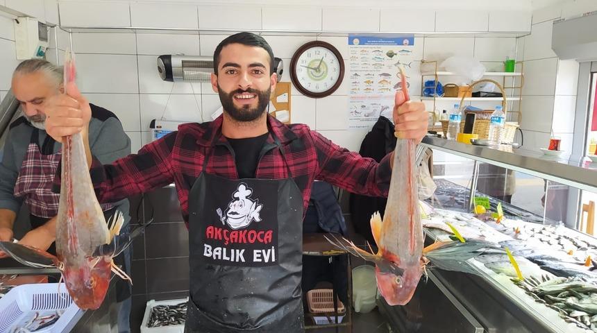 Nadir avlanıyorlar! 500'er liradan satışa çıktı
