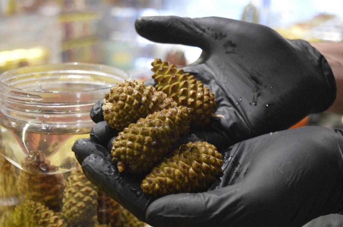 &Ccedil;am kozalağından denemelik turşu yapmaya başlamıştı, şimdi taleplere yetişemiyor