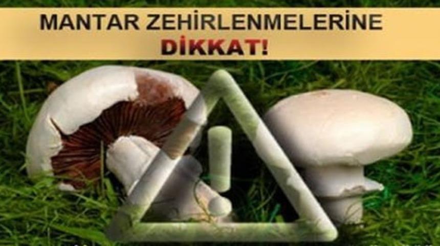 Emet&rsquo;te mantar zehirlenmelerine karşı uyarı
