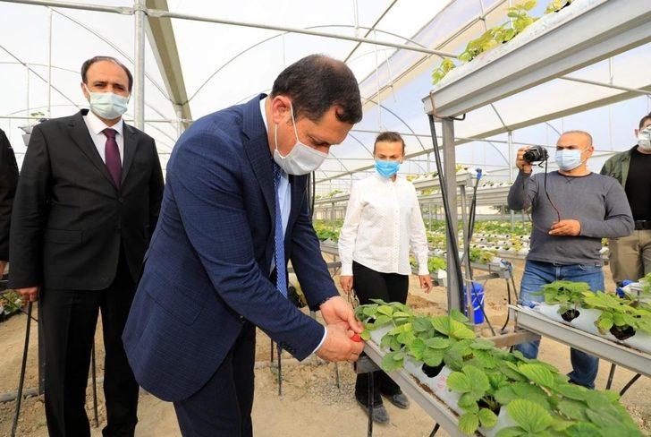 ‘Tarım Şehr-i Amasya’ G3