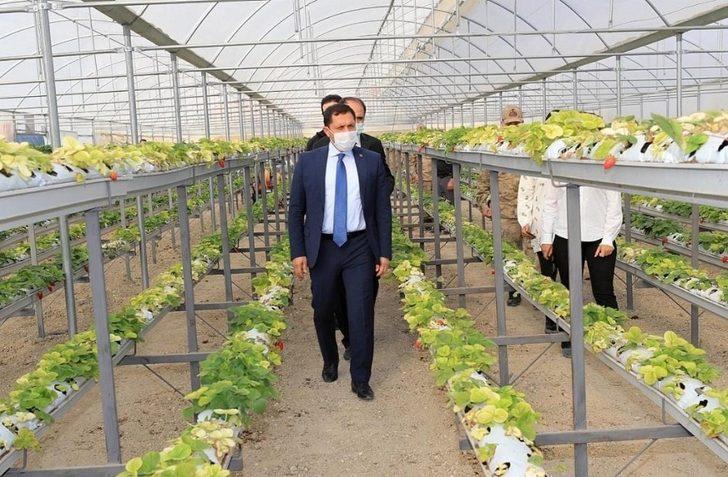 ‘Tarım Şehr-i Amasya’ G4