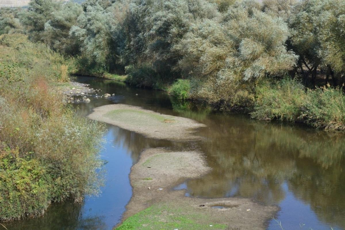 Simav &Ccedil;ayı S.O.S. veriyor