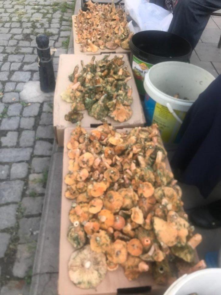 Kanlıca Mantarı 50 TL’den alıcı buluyor G2