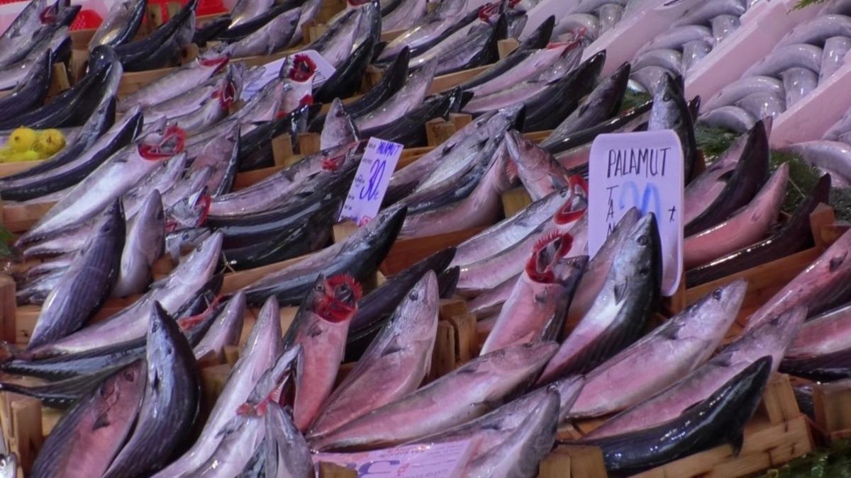 K&uuml;&ccedil;&uuml;k balıkların fiyatı yarı yarıya d&uuml;şt&uuml;