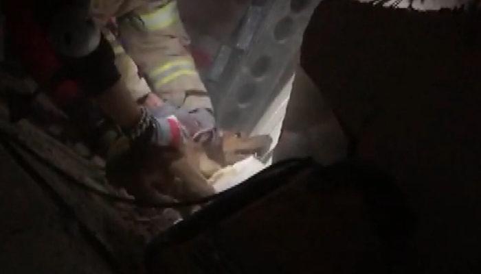 Acı içinde çırpındı! İzmir depreminde enkaz altında kalan İnci Okan'ın köpeği böyle kurtarıldı