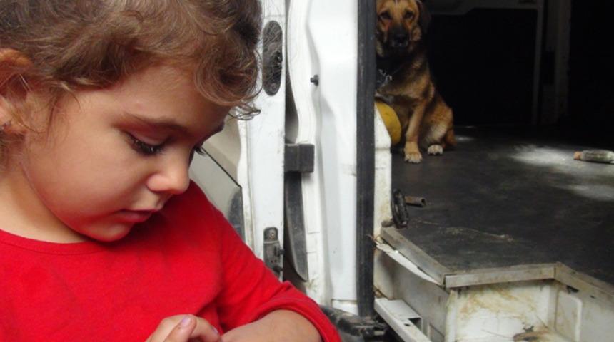 Antalya'da korkun&ccedil; olay! Sokak k&ouml;peğini severken neredeyse g&ouml;z&uuml;nden oluyordu