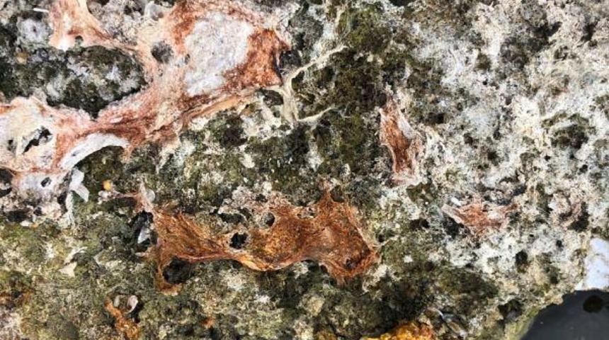 Milyonlarca yıl önce meydana geldi! Sular çekilince ortaya çıktı