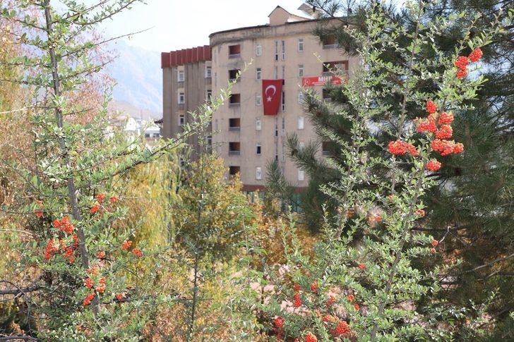 Hakkari’de büyüleyen sonbahar görüntüleri G2