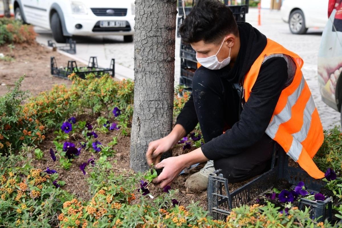 Mamak kışın da &ccedil;i&ccedil;ek a&ccedil;ıyor