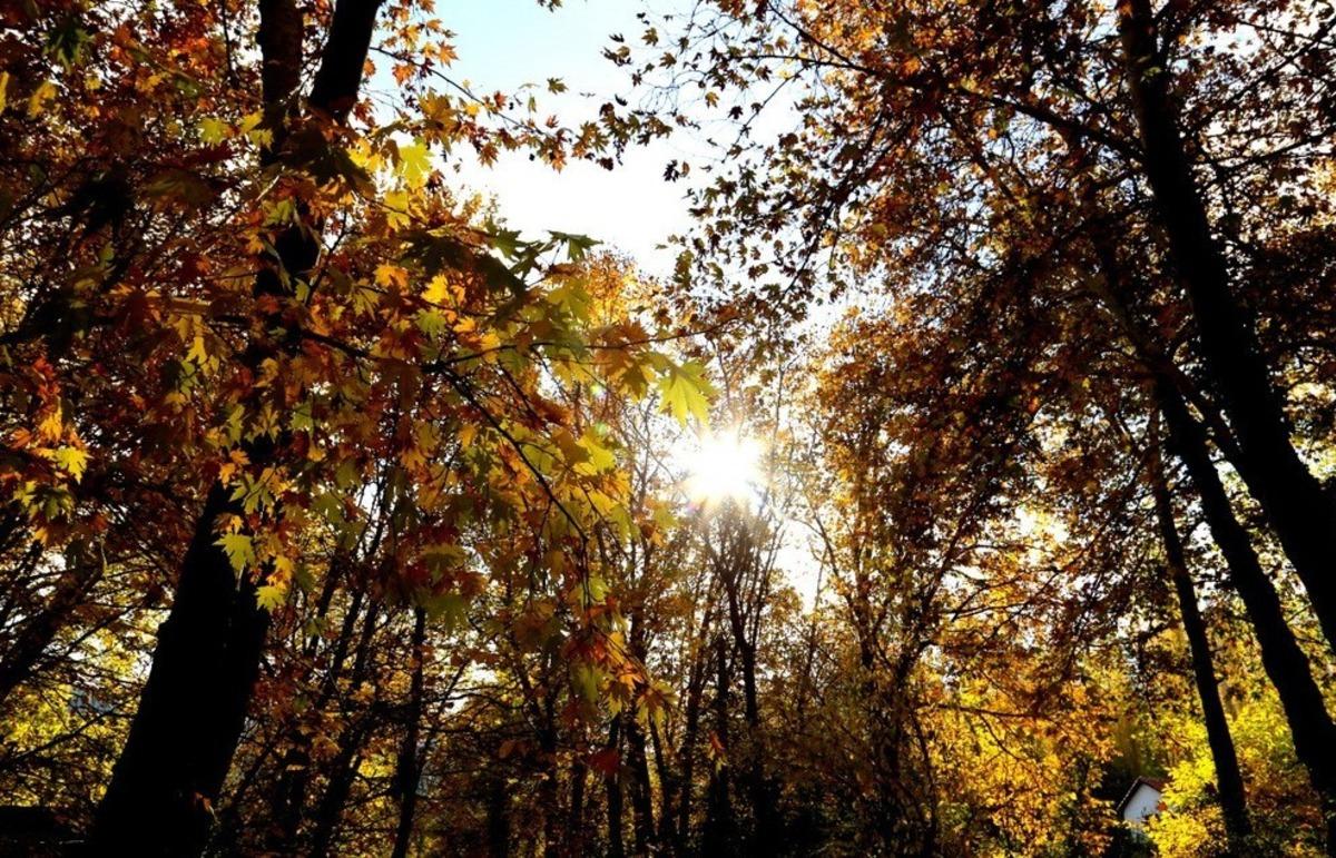 Bayburt&rsquo;ta sonbahar renkleri