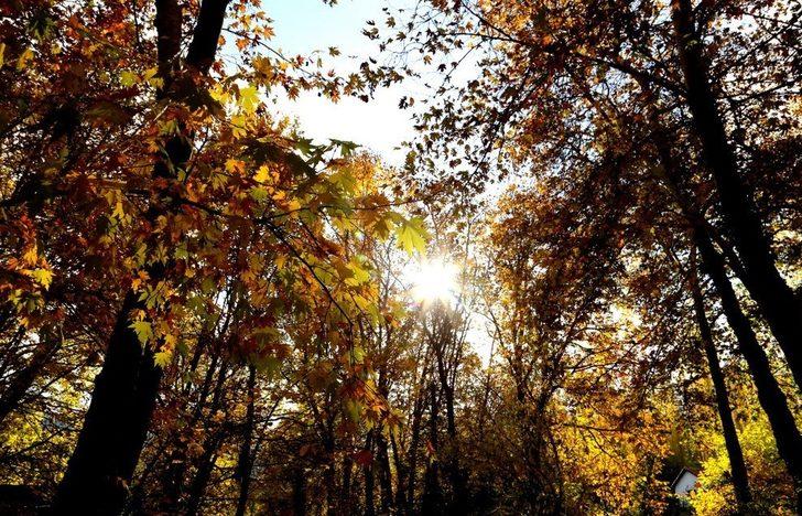 Bayburt’ta sonbahar renkleri G1