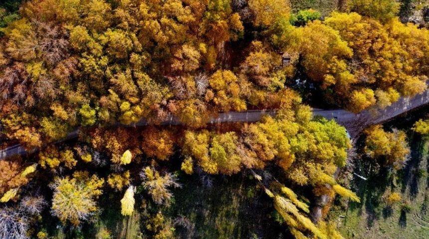 Çoruh Nehri’nin yanı başında! Gören hayran kalıyor