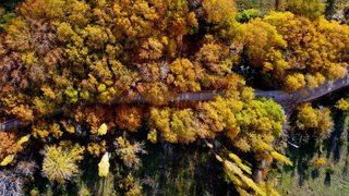 Çoruh Nehri’nin yanı başında! Gören hayran kalıyor