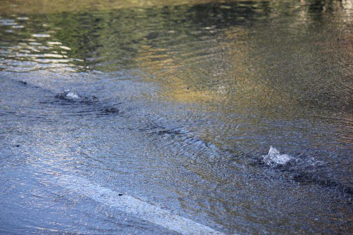 Su borusu patladı, PTT Başmüdürlüğü önü göle döndü G3