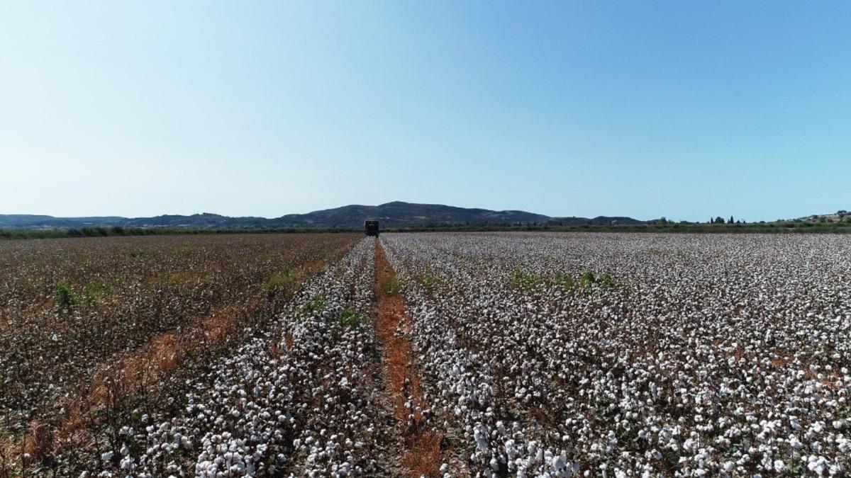Kuraklığa rağmen, Aydın&rsquo;da sulama sezonu sorunsuz sona erdi