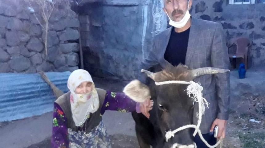 Necla Nine cami inşaatı i&ccedil;in ineğini bağışladı