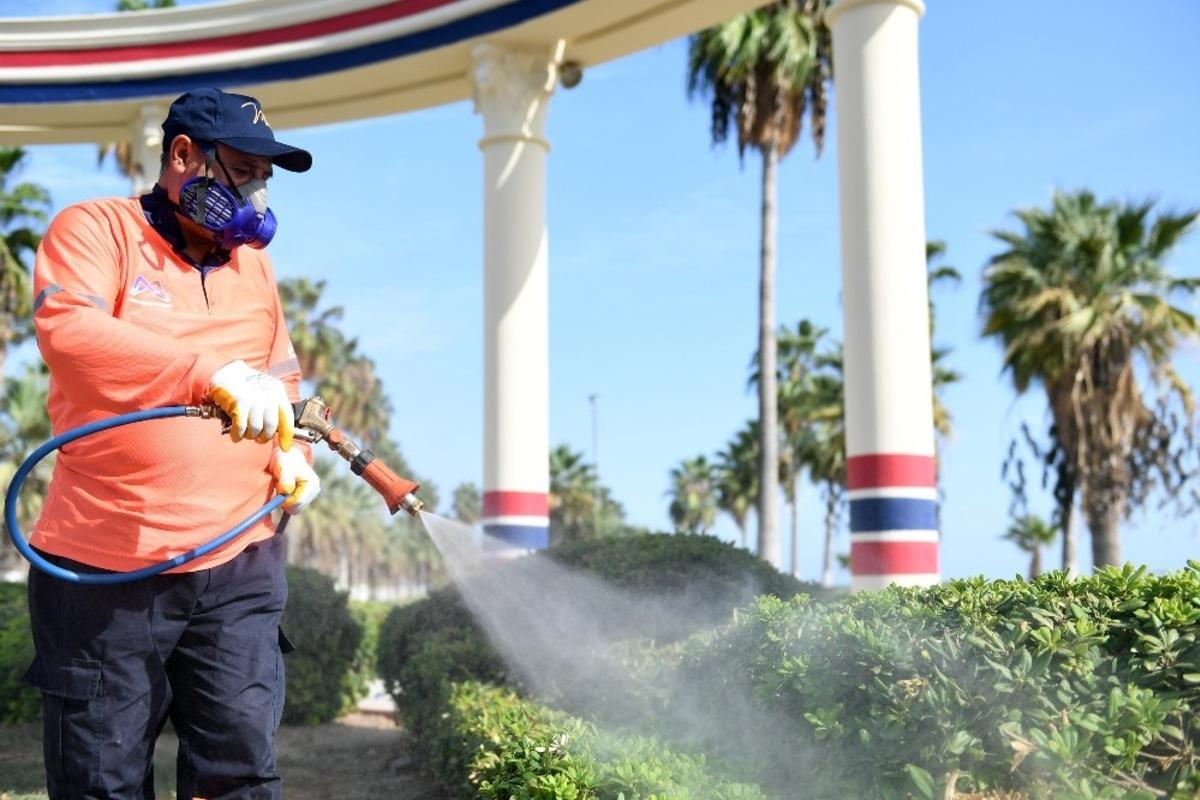 Mersin&rsquo;de salgınla m&uuml;cadele s&uuml;r&uuml;yor