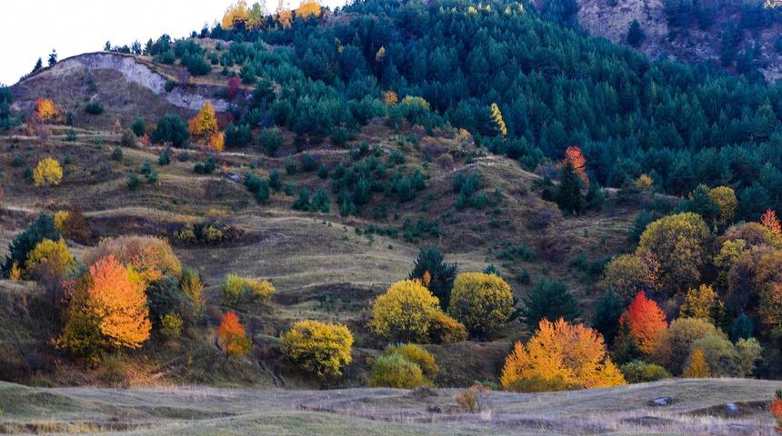 Posof sonbaharda da büyüledi! Hafızalara kazınacak güzellik