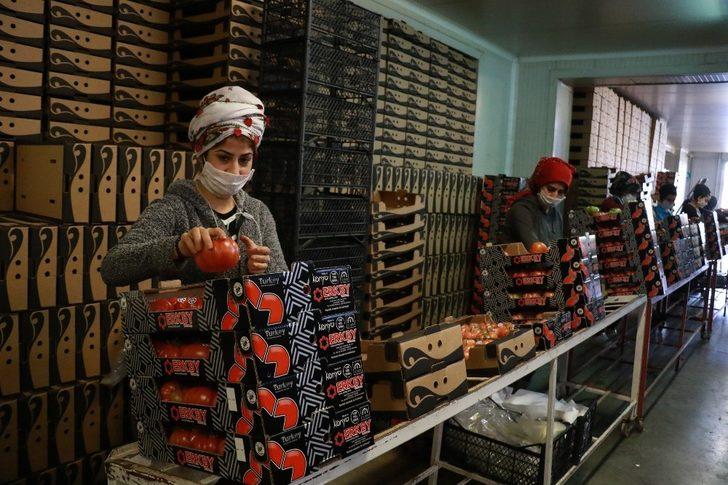 Domateste bir önceki aya göre yüzde 6.88, sebzede yüzde 22.28, meyvede yüzde 6.69 artış yaşandı G1