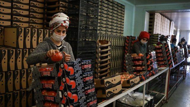 Domateste bir önceki aya göre yüzde 6.88, sebzede yüzde 22.28, meyvede yüzde 6.69 artış yaşandı