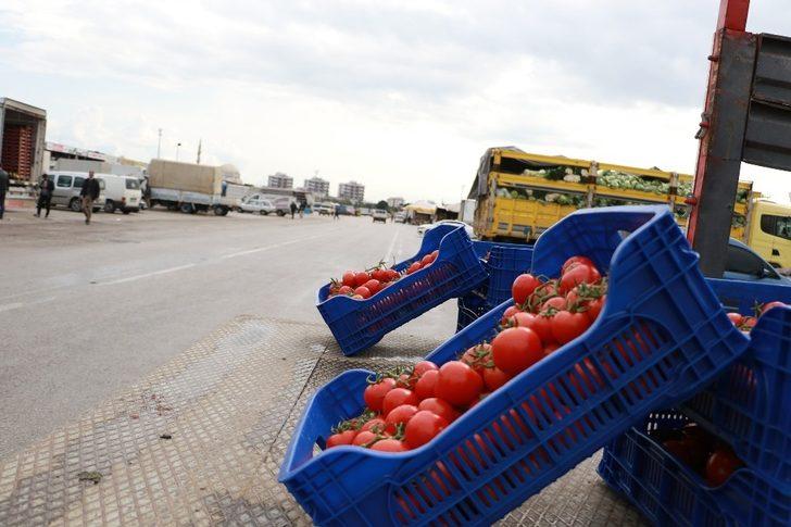 Domateste bir önceki aya göre yüzde 6.88, sebzede yüzde 22.28, meyvede yüzde 6.69 artış yaşandı G4