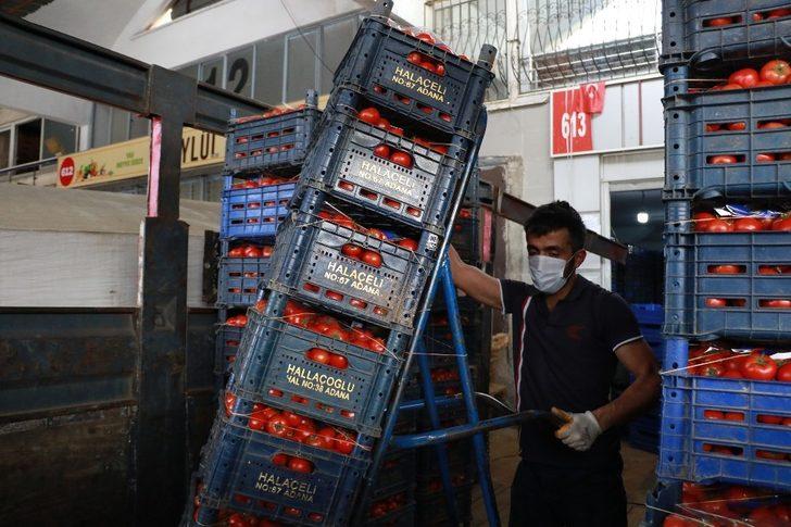 Domateste bir önceki aya göre yüzde 6.88, sebzede yüzde 22.28, meyvede yüzde 6.69 artış yaşandı G5