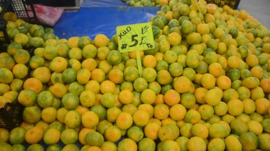 Bağışıklık sistemini güçlendiren mandalina yoğun ilgi görüyor