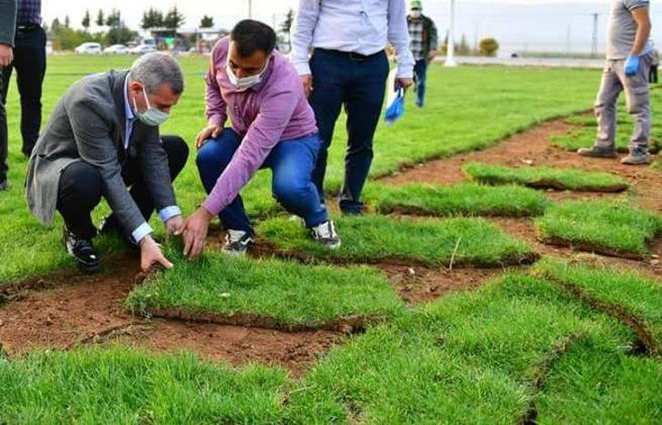 Yeşilyurt Belediyesi, rulo çimlerini kendi üretiyor G3