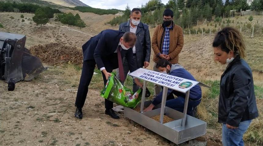 Yunak&rsquo;ta sokak hayvanlarına besleme noktası