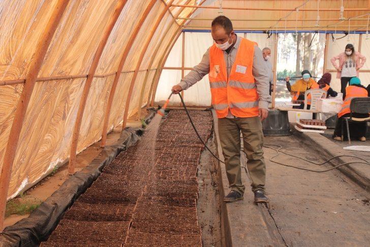 Şanlıurfa’da çiçek üretimi G2