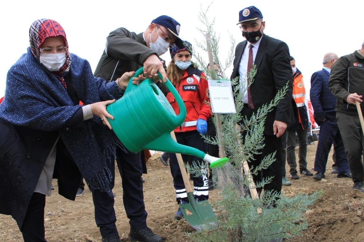Elazığ&rsquo;da 223 bin fidan toprakla buluşuyor, ilk fidanlar dikildi