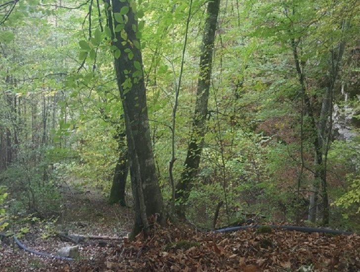 Samsun’da 12 hırsızlık olayına 12 gözaltı G4