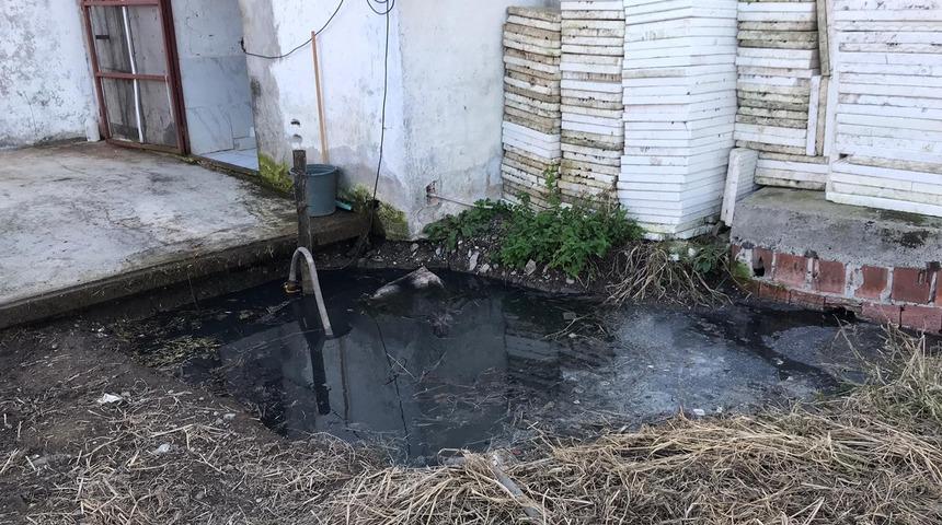 Samsun'da korkun&ccedil; olay! 2 yaşındaki Nisanur su birikintisinde &ouml;l&uuml; bulundu