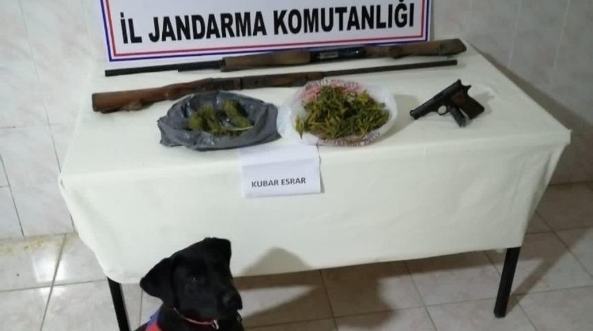 Jandarmadan uyuşturucu ve silah operasyonu