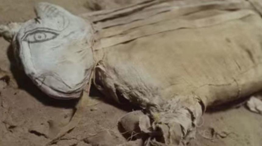 Mumyalanmış "olağandışı" hayvan görenleri şaşırttı 