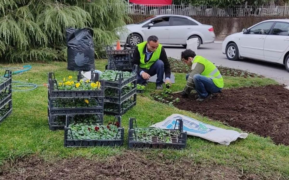 Safranbolu &ccedil;i&ccedil;ek a&ccedil;ıyor