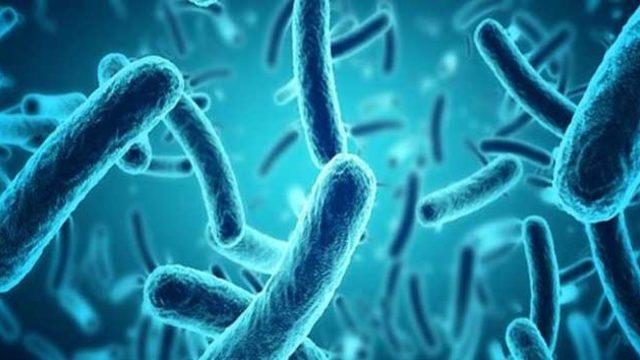 Uzmanlardan enfeksiyon uyarısı: Kronik hastalarda...