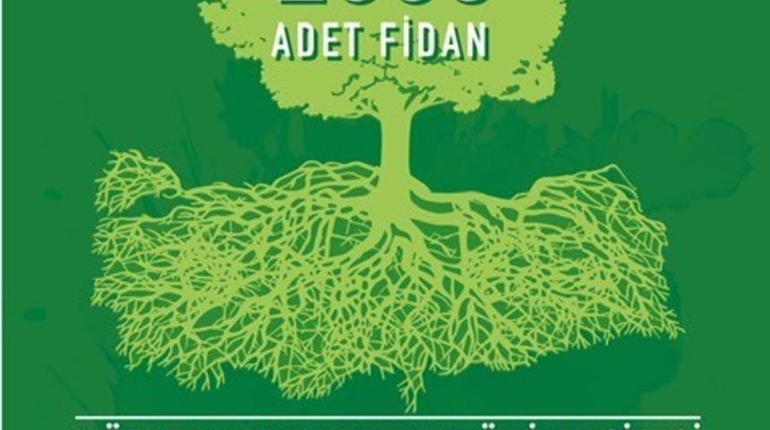 DP&Uuml;, Hatay i&ccedil;in 2 Bin 53 fidan dikecek