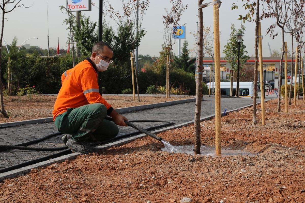 &Ccedil;ankaya&rsquo;da 3 park birden a&ccedil;ılıyor