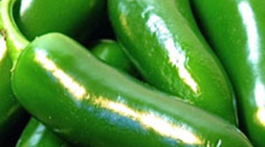 Samandağ Biberiyle Zayıflayın