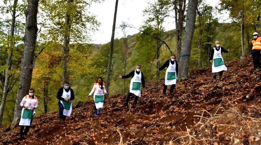 Amasya OBM verimsiz orman sahalarını ağa&ccedil;landırıyor