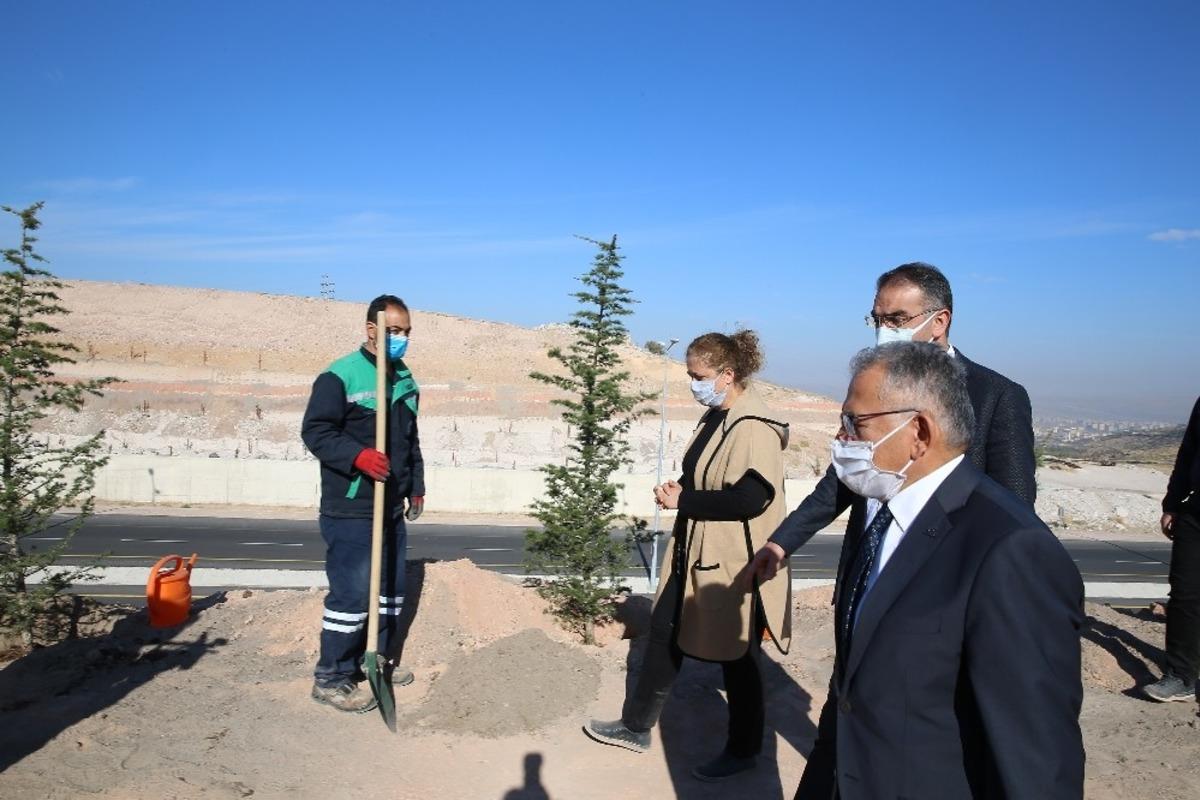 B&uuml;y&uuml;kşehir 100 bin fidanı toprakla buluşturuyor